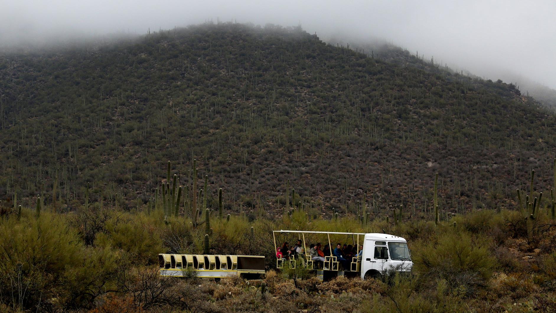 Tucson weather: Light snowfall possible on the mountains today